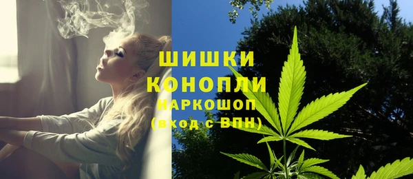 шишки Михайловка